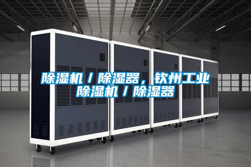 除濕機(jī)／除濕器，欽州工業(yè)除濕機(jī)／除濕器