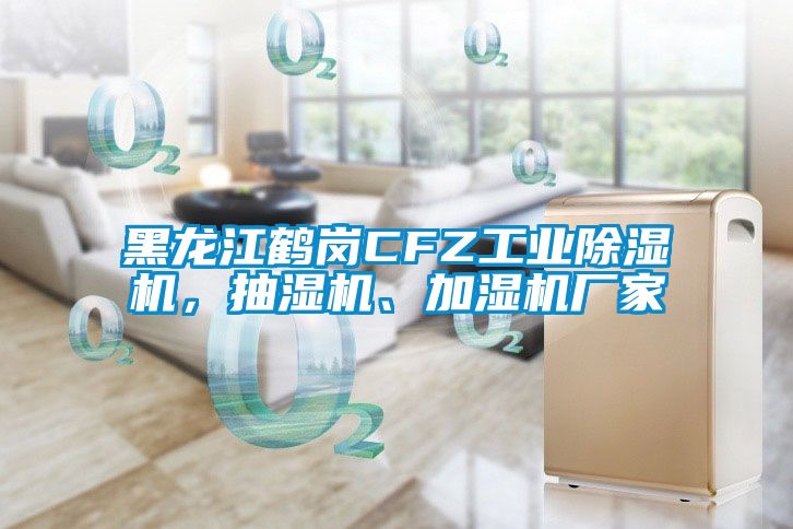 黑龍江鶴崗CFZ工業(yè)除濕機(jī)，抽濕機(jī)、加濕機(jī)廠家