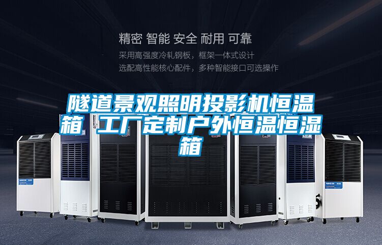 隧道景觀照明投影機(jī)恒溫箱 工廠定制戶外恒溫恒濕箱