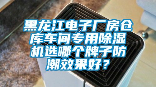 黑龍江電子廠房倉(cāng)庫(kù)車間專用除濕機(jī)選哪個(gè)牌子防潮效果好？