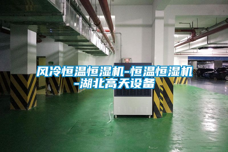 風(fēng)冷恒溫恒濕機-恒溫恒濕機-湖北高天設(shè)備