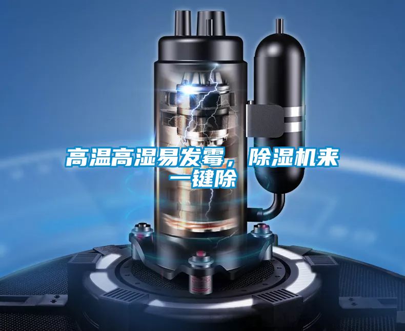 高溫高濕易發(fā)霉，除濕機來一鍵除