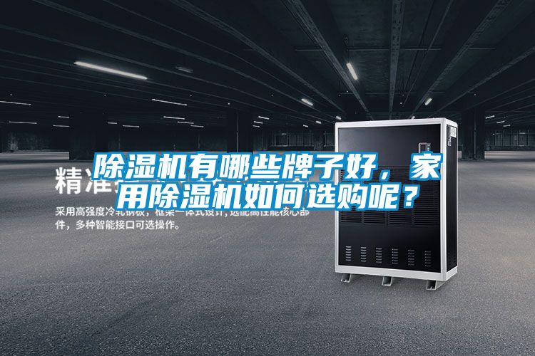 除濕機(jī)有哪些牌子好，家用除濕機(jī)如何選購(gòu)呢？