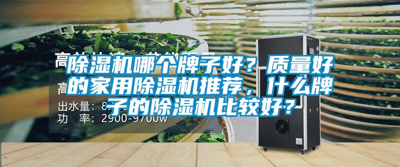 除濕機(jī)哪個(gè)牌子好？質(zhì)量好的家用除濕機(jī)推薦，什么牌子的除濕機(jī)比較好？