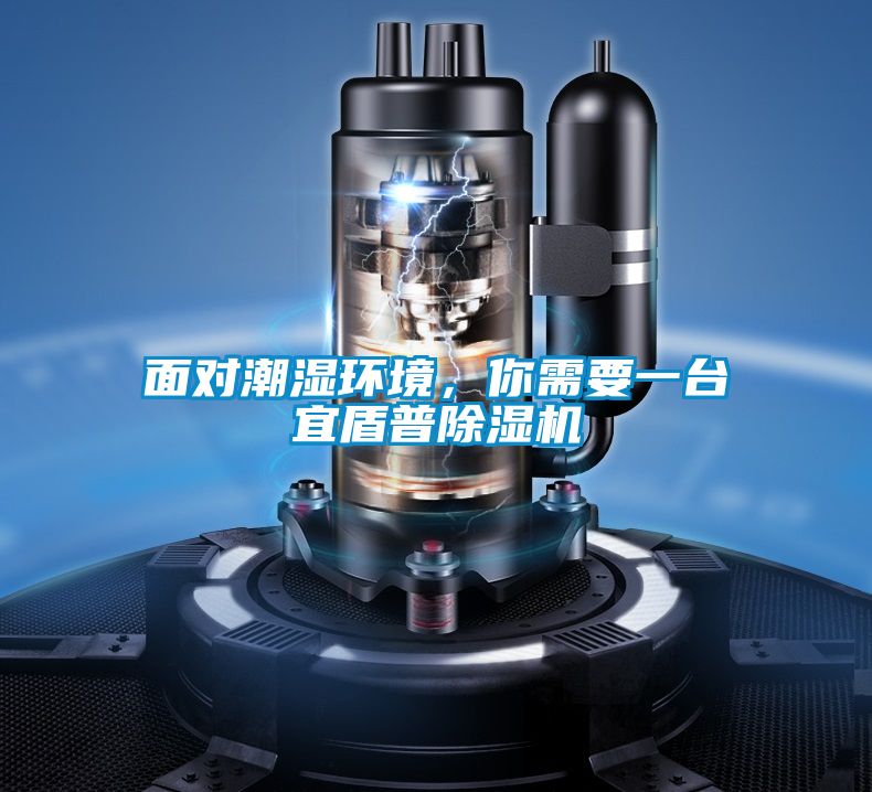 面對(duì)潮濕環(huán)境，你需要一臺(tái)宜盾普除濕機(jī)