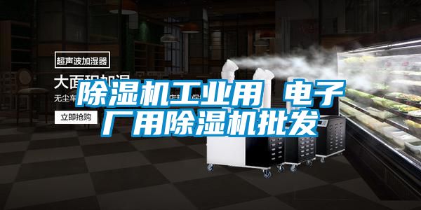 除濕機工業(yè)用 電子廠用除濕機批發(fā)