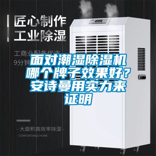 面對潮濕除濕機哪個牌子效果好？安詩曼用實力來證明