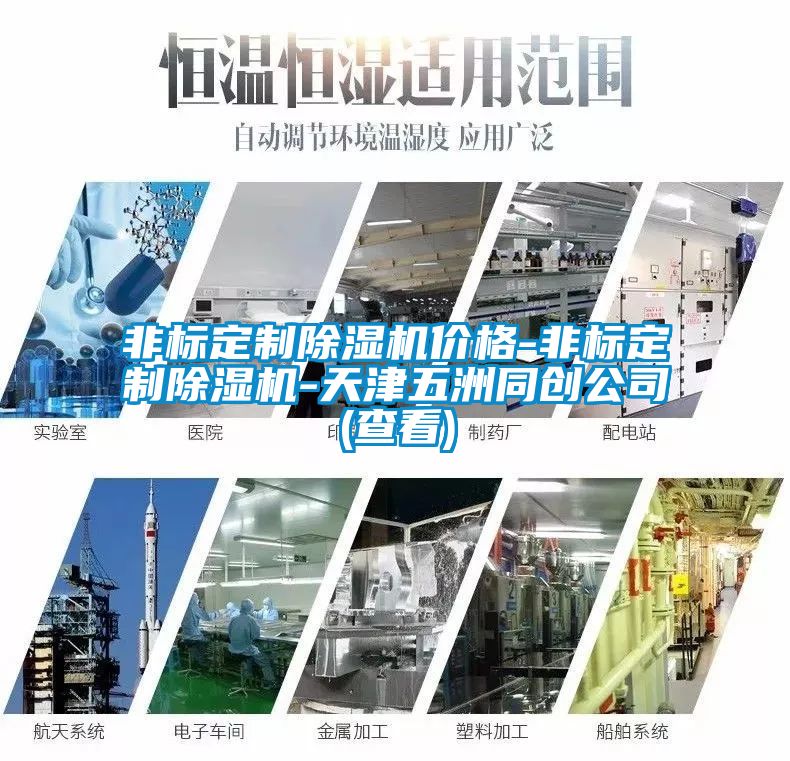 非標(biāo)定制除濕機(jī)價格-非標(biāo)定制除濕機(jī)-天津五洲同創(chuàng)公司(查看)