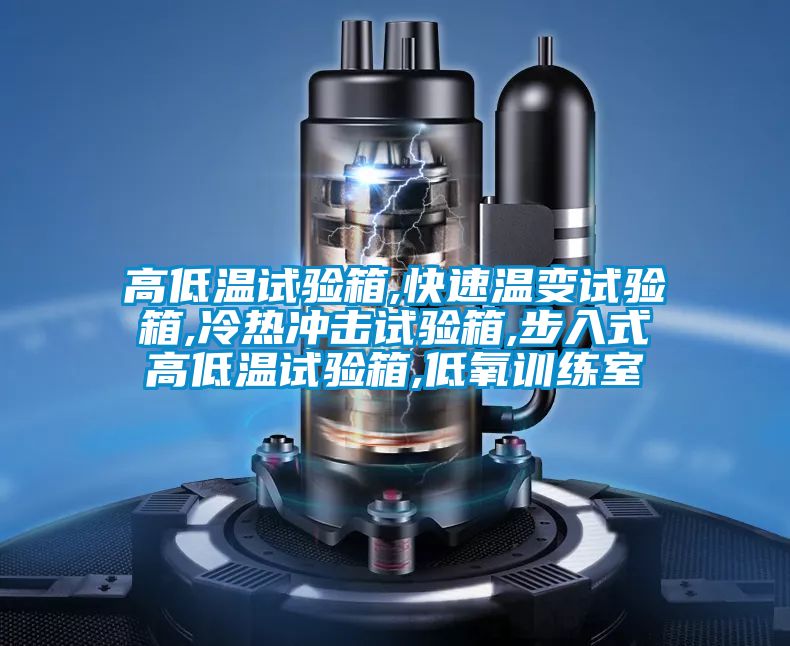 高低溫試驗(yàn)箱,快速溫變試驗(yàn)箱,冷熱沖擊試驗(yàn)箱,步入式高低溫試驗(yàn)箱,低氧訓(xùn)練室