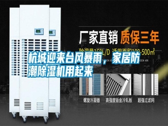 知識百科杭城迎來臺風(fēng)暴雨，家居防潮除濕機(jī)用起來