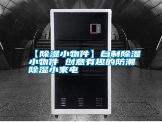 常見問題【除濕小物件】自制除濕小物件 創(chuàng)意有趣的防潮除濕小家電