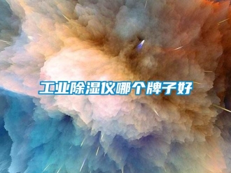 企業(yè)新聞工業(yè)除濕儀哪個(gè)牌子好