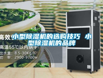 企業(yè)新聞小型除濕機的選購技巧 小型除濕機的品牌