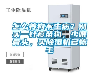 行業(yè)新聞怎么養(yǎng)狗不生??？別買一針疫苗狗，少喂骨頭，買除濕機(jī)多梳毛