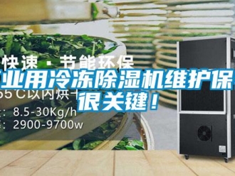 常見問題工業(yè)用冷凍除濕機維護保養(yǎng)很關鍵！
