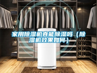 常見問題家用除濕機(jī)真能除濕嗎（除濕機(jī)效果如何）