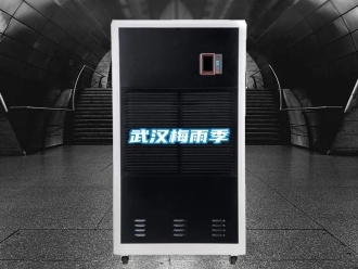 知識(shí)百科武漢梅雨季