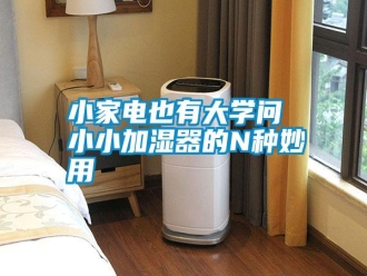 知識(shí)百科小家電也有大學(xué)問(wèn) 小小加濕器的N種妙用