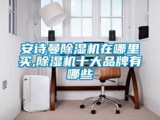企業(yè)新聞安詩曼除濕機(jī)在哪里買,除濕機(jī)十大品牌有哪些
