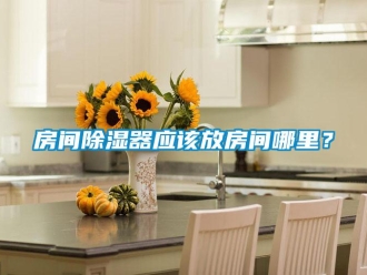 行業(yè)新聞房間除濕器應該放房間哪里？