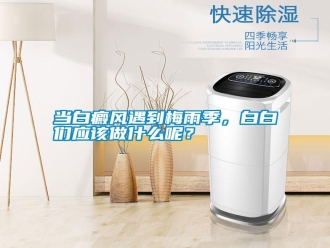 常見問題當白癜風遇到梅雨季，白白們應該做什么呢？