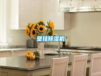 知識百科壁掛除濕機