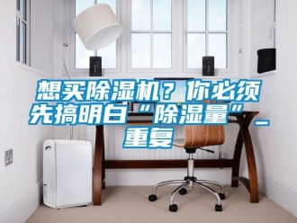 行業(yè)新聞想買除濕機(jī)？你必須先搞明白“除濕量”_重復(fù)
