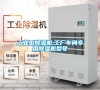 工業(yè)型除濕機,工廠車間專用除濕機型號
