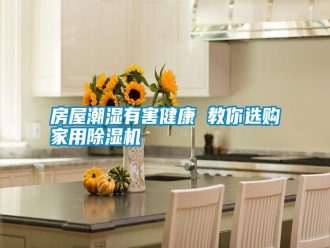 常見問題房屋潮濕有害健康 教你選購家用除濕機