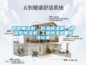 常見問題工業(yè)抽濕機、低溫除濕機、調(diào)溫型除濕機 工業(yè)除濕機 除濕設(shè)備