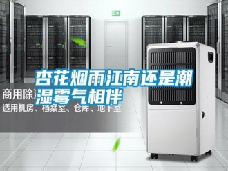 常見問題杏花煙雨江南還是潮濕霉氣相伴