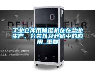 常見問題工業(yè)倉庫用除濕機(jī)在在鹽業(yè)生產(chǎn)、分裝以及倉儲中的應(yīng)用_重復(fù)
