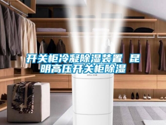 行業(yè)新聞開關柜冷凝除濕裝置 昆明高壓開關柜除濕