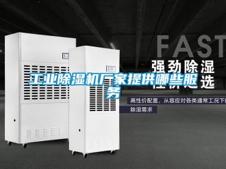 企業(yè)新聞工業(yè)除濕機廠家提供哪些服務(wù)