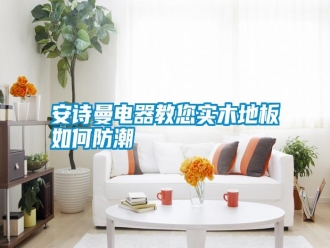 常見問題安詩曼電器教您實(shí)木地板如何防潮