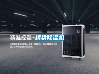 知識(shí)百科橋梁除濕機(jī)