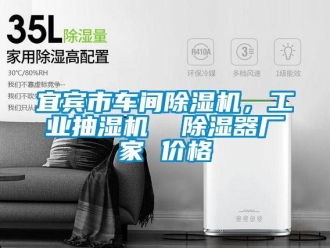 企業(yè)新聞宜賓市車間除濕機，工業(yè)抽濕機  除濕器廠家 價格