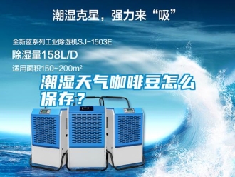 知識(shí)百科潮濕天氣咖啡豆怎么保存？