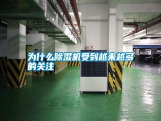 常見問題為什么除濕機(jī)受到越來越多的關(guān)注