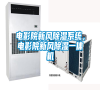 電影院新風(fēng)除濕系統(tǒng)，電影院新風(fēng)除濕一體機(jī)