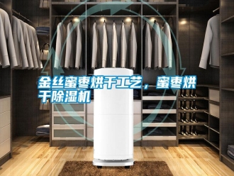 知識百科金絲蜜棗烘干工藝，蜜棗烘干除濕機