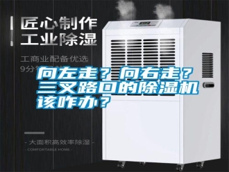 知識百科向左走？向右走？三叉路口的除濕機(jī)該咋辦？