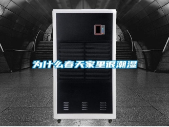 常見問題為什么春天家里很潮濕