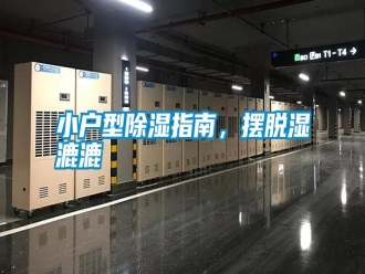 知識(shí)百科小戶型除濕指南，擺脫濕漉漉