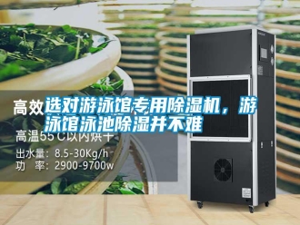 常見問題選對游泳館專用除濕機，游泳館泳池除濕并不難