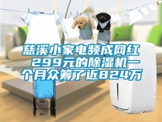 行業(yè)新聞慈溪小家電頻成網(wǎng)紅 299元的除濕機(jī)一個月眾籌了近824萬