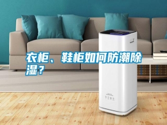 常見問題衣柜、鞋柜如何防潮除濕？
