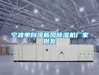 企業(yè)新聞寧波單向流新風(fēng)除濕機(jī)廠家批發(fā)