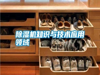 常見(jiàn)問(wèn)題除濕機(jī)知識(shí)與技術(shù)應(yīng)用領(lǐng)域