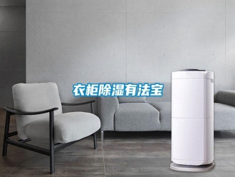 常見問題衣柜除濕有法寶
